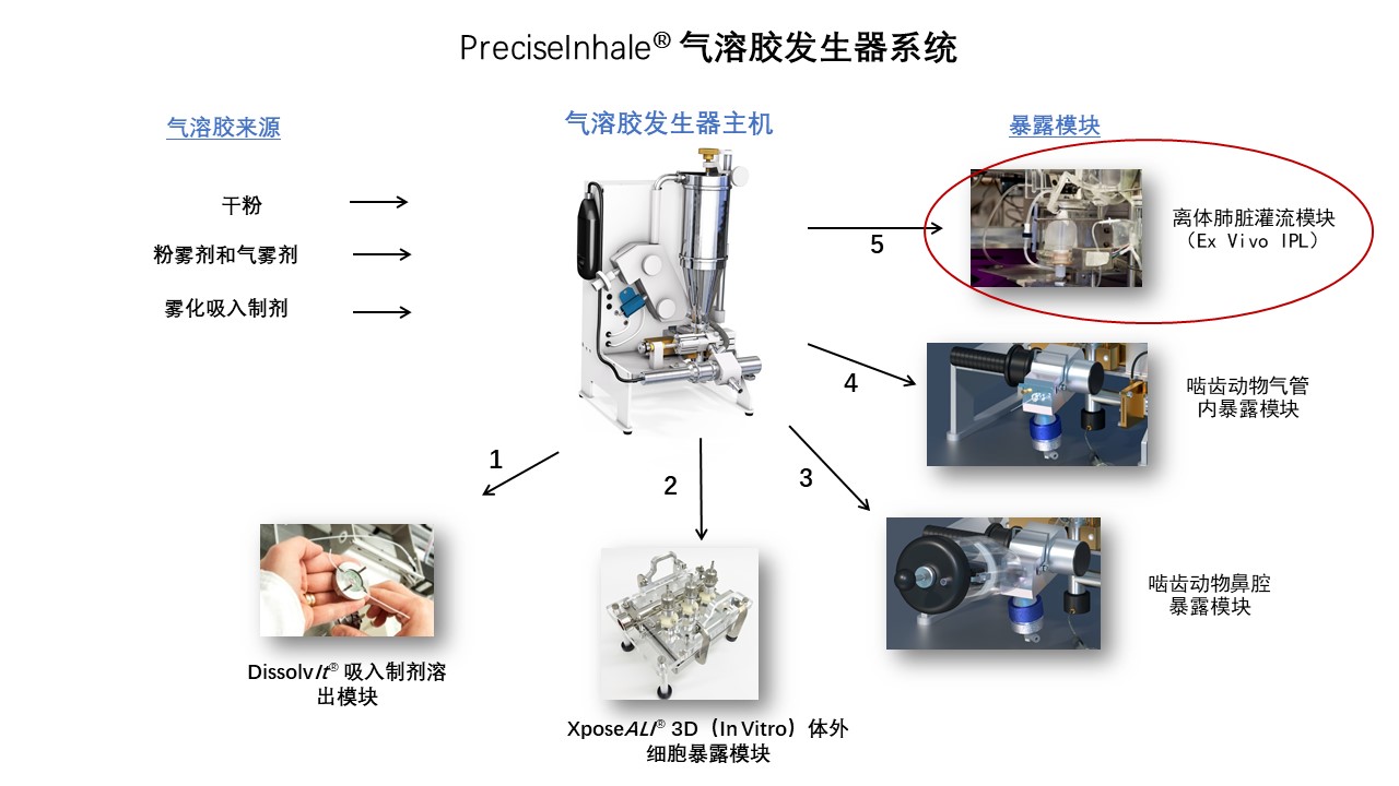 主機(jī)+5 肺髒.jpg